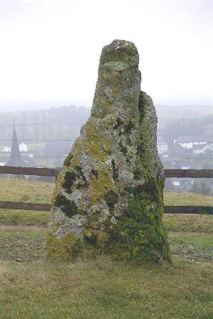 Keltischer Menhir - Im Hintergrund Wallersheim