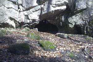 Die Haupthöhle